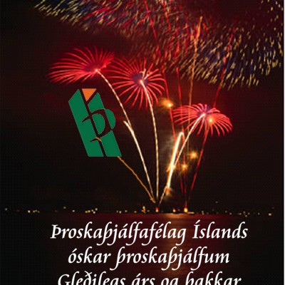 Gleðilegt nýtt ár