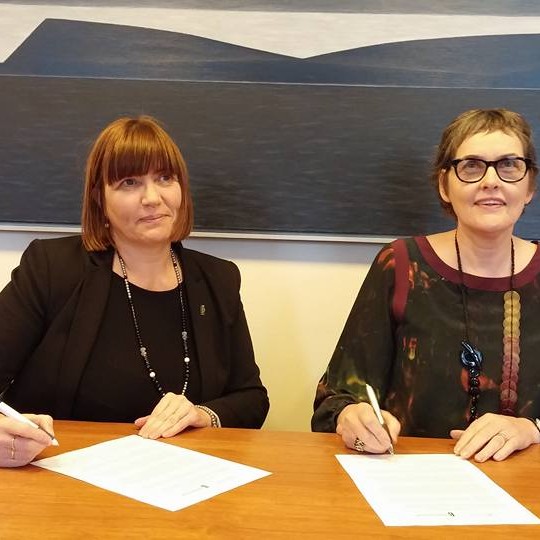 Viljayfirlýsing við Menntavísindasvið Háskóla Íslands